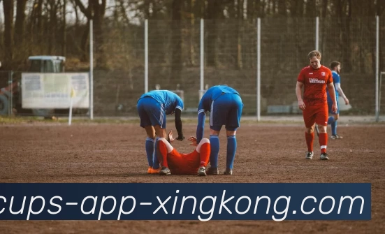 App Interface Preview