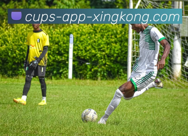 星空体育官网APP 封面图