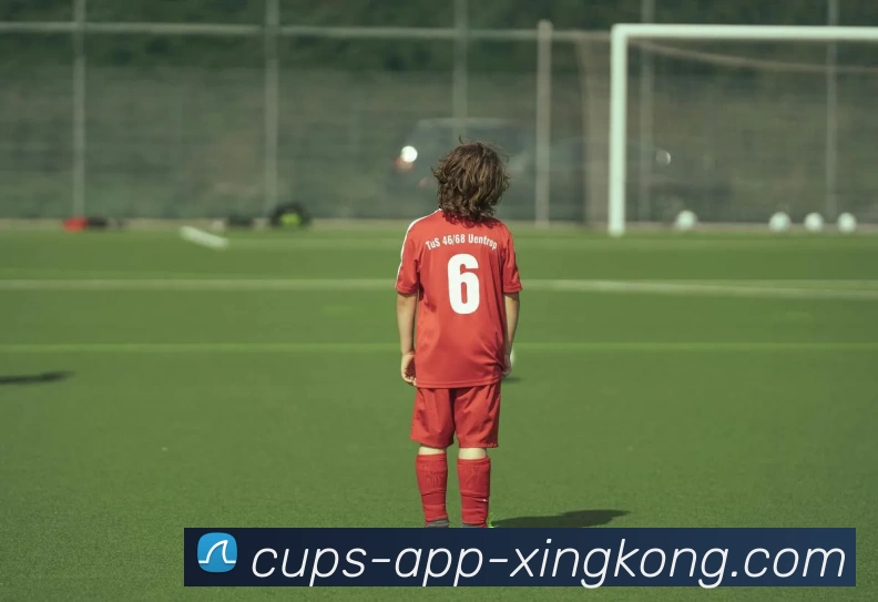 数据防护可视化